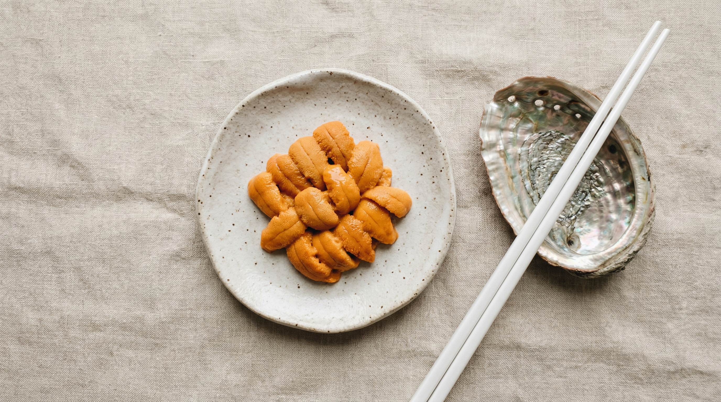fresh sea urchin on ceramic plate with abalone shell and chopsticks